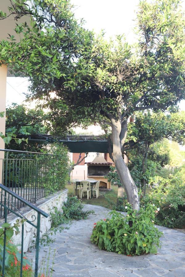 Cosy Budget Rooms To Rent In Ipsos Corfu Dış mekan fotoğraf